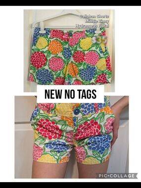 Callahan Floral Hydrangea Print Shorts — Multicolor